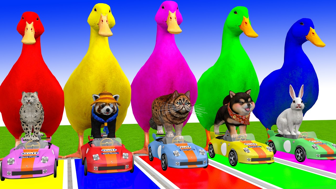 Long Slide Game With Cow Elephant Gorilla Hippopotamus Tiger 3d Animal Game Funny 3d Animals