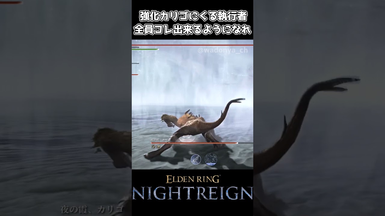 強化カリゴにくる執行者、全員コレ出来るようになれ【エルデンリング ナイトレイン】