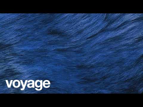 FREE Voyage Burna Boy X Victony X Rema Type Beat Free Beat Afrobeat Instrumental 2025