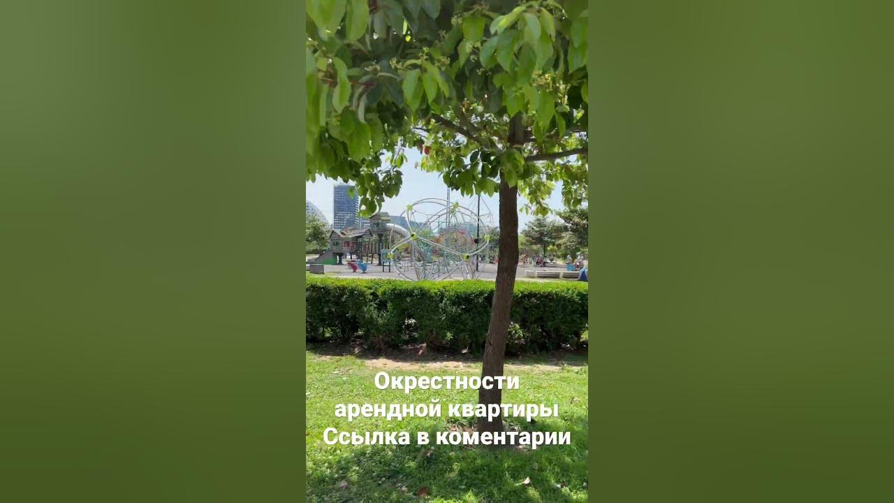 Погода в Батуми | 23 мая - YouTube