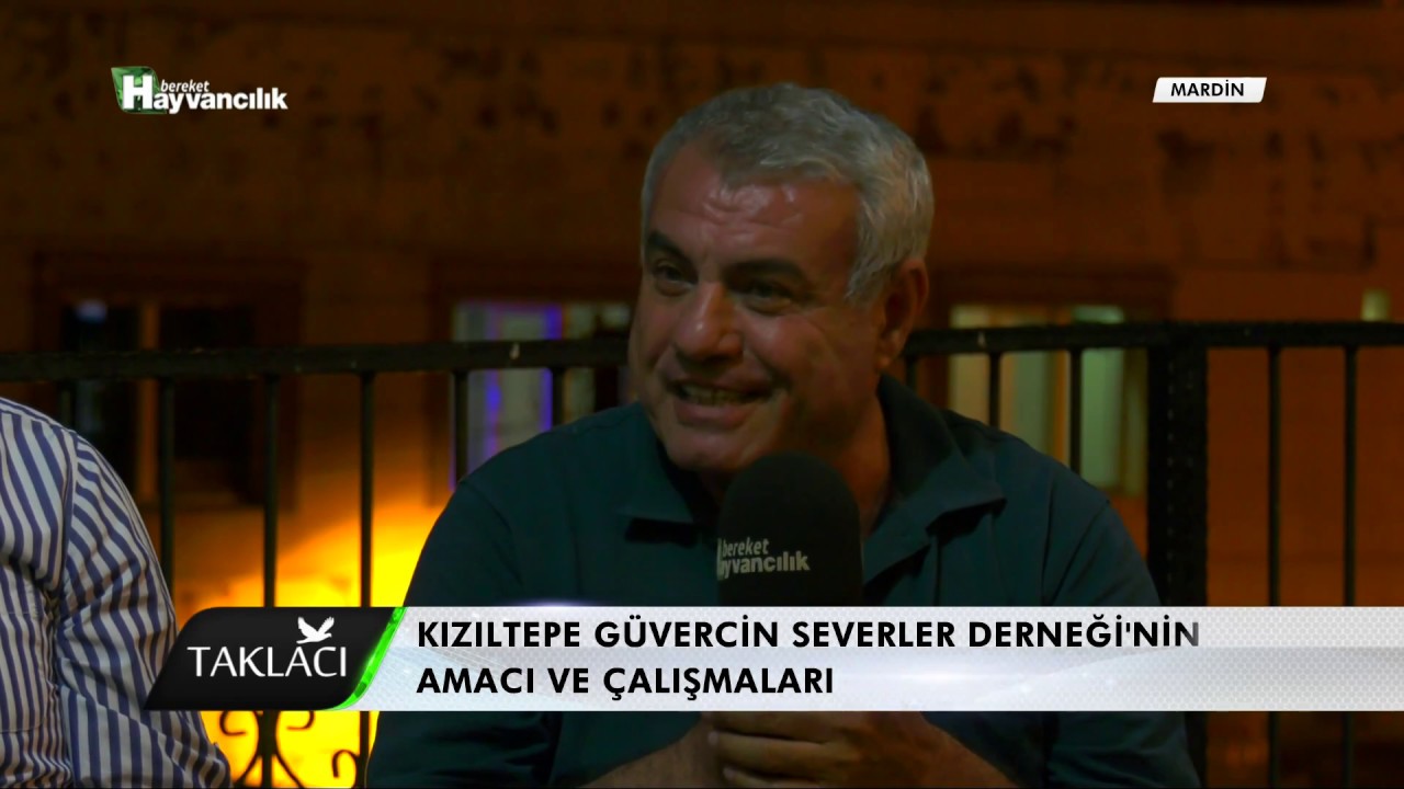 Taklacı - Mardin Taklacı Güvercin Sohbetleri