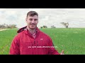 2023 elders agronomic field day based in merredin western australia