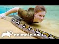 Robert Irwin Continues His Fathers Legacy Crikey Its the Irwins Animal Planet mp3