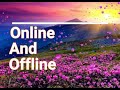 chanal title information