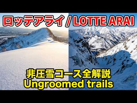 ロッテアライスキーリゾート2025年2月2日　大斜面、膳棚、船石、ワセ、KG、エキサイター、レジェンダリー　上級コース全部行きました — "Be Free"