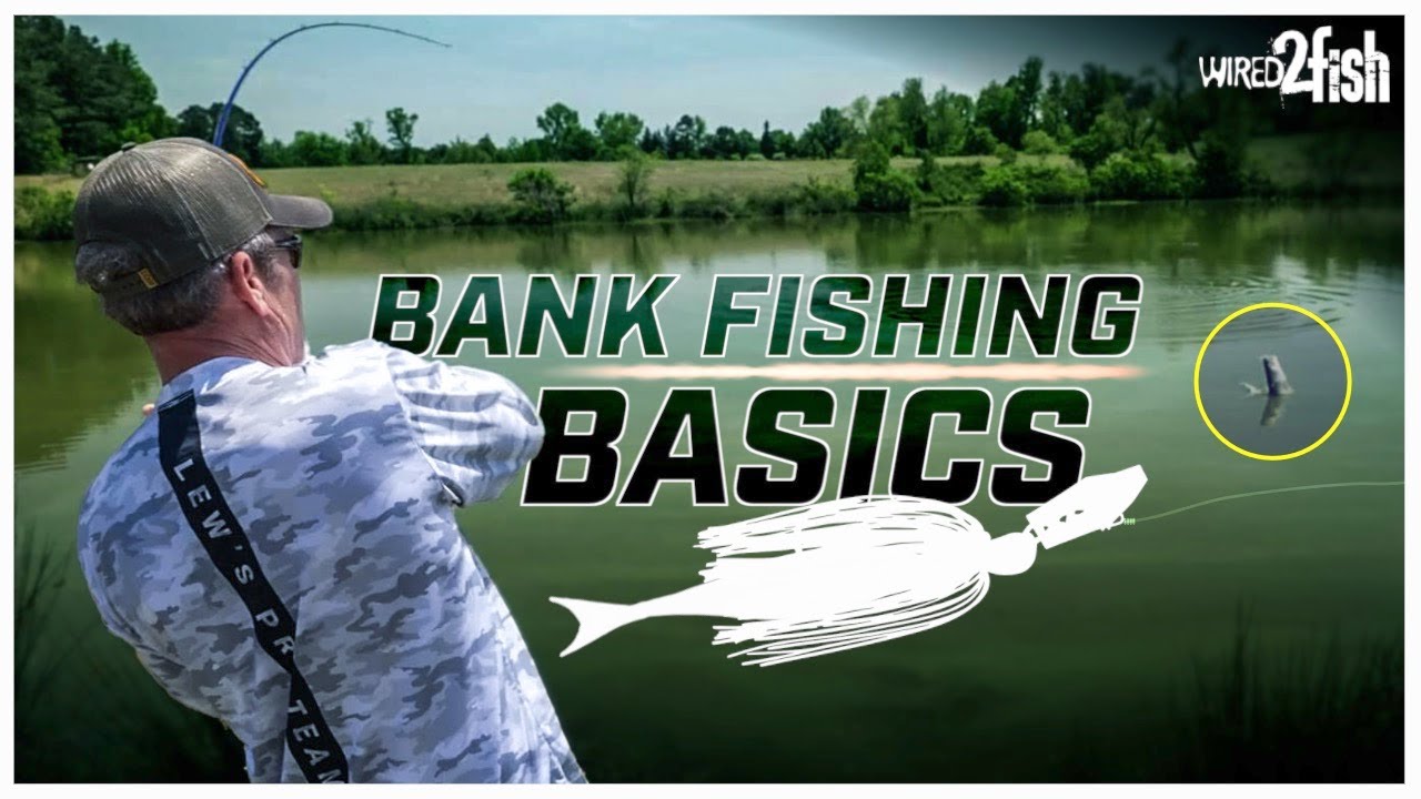 Pond Bass Fishing Insights with Stephen Browning 