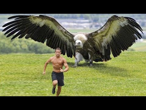 Посмотрите, на Что