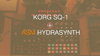 KORG SQ-1 + ASM HYDRASYNTH