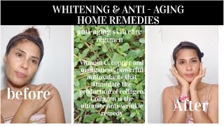 Whitening and Glow skin home remedies/ PURSLANE IS AN ANTI-AGING  SUPERHERO