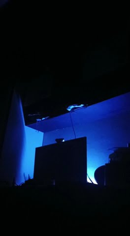 Kupercaya kau Tuhan yang tak Perna Gagal