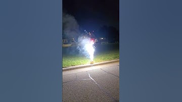 Sponge Bro - Pyro Predator brand