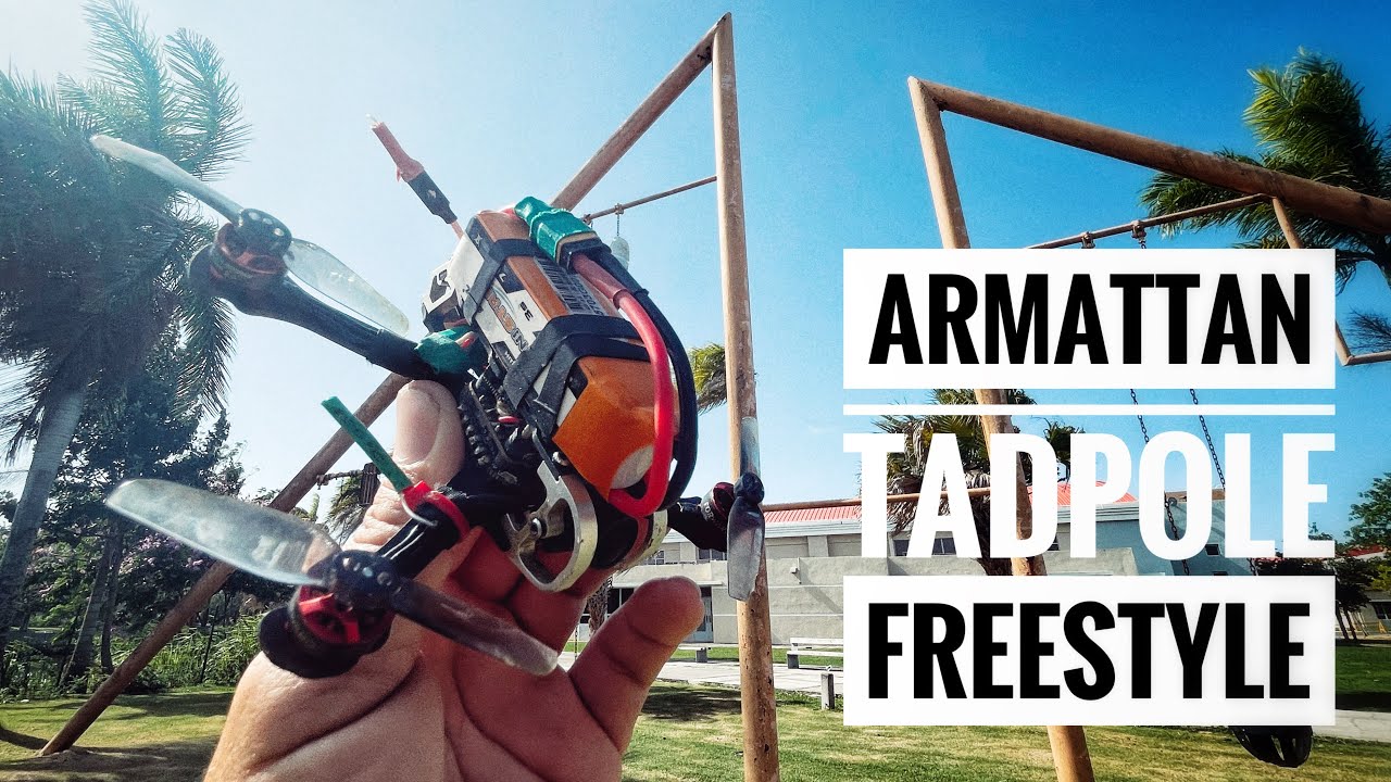 Freetyle rip with micro fpv drone Armattan Tadpole 2.5” at a nice spot ...