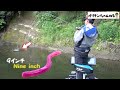 オリキン、亀山湖にて9インチワームでやらかす。
