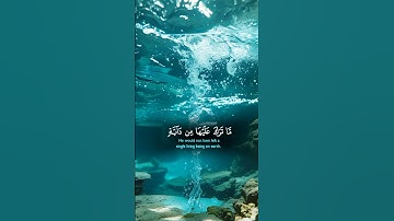 وَلَوْ يُؤَاخِذُ اللَّهُ النَّاسَ بِظُلْمِهِم مَّا تَرَكَ عَلَيْهَا مِن دَابَّةٍ | سورة النحل #قرآن