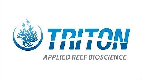 Introduction English