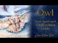 Owl: Your Spirit and Totem Animal Guide