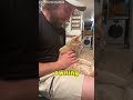 The Cat He Didn’t Want… Owns Him Now #shorts #catvideos #cats