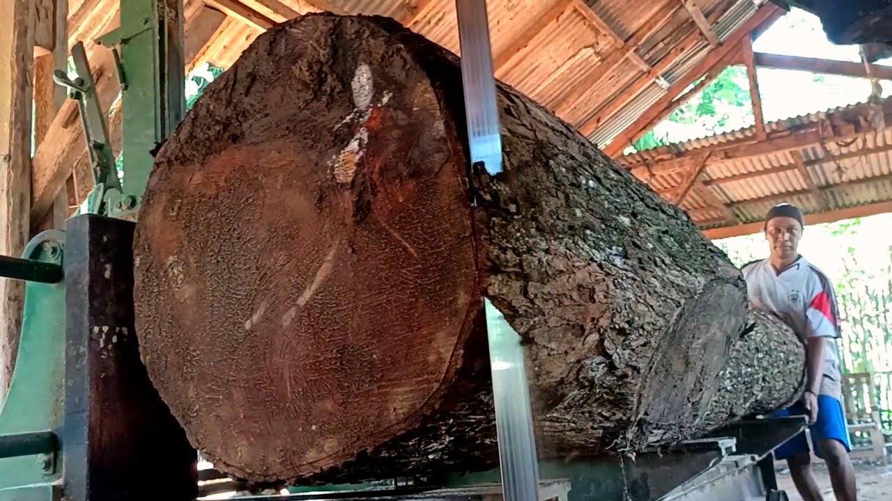 A LARGE WOODEN EARTH ONCE IN A HUNDRED YEARS! The process of turning a tree into a beautiful sheet 