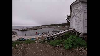 A Small Fishing Community Josephines Cove
A small fishing village on the northern penisula, mainly lobsters is fished from this area,but also herring in the fall. A Small Fishing Community Josephines Cove