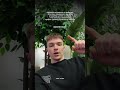 все хорошо все хорошо все хорошо все хорошо все хорошо