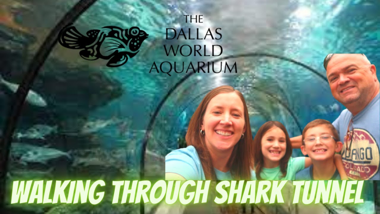 VISITING DALLAS WORLD AQUARIUM 2021 Walking through Shark Tunnel