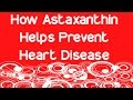 How Astaxanthin Helps Prevent Heart Disease