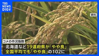 今年の全国のコメ作況「やや良」　岩手と宮城は「良」｜TBS NEWS DIG