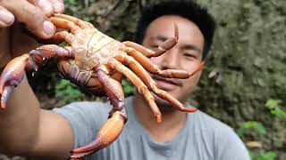 How to prepare and eat a delicious local crab curry || naga mukbang.