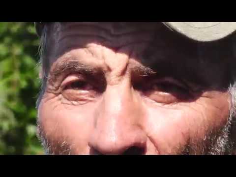 ცენტრალურ ქუჩაში დაყრილი ნაკელი