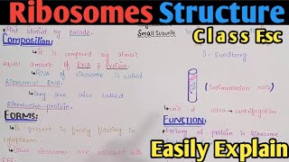 Ribosome | Ribosome Structure | Ribosome Function | Polysome | Class 11 Biology (Urdu/Hindi)