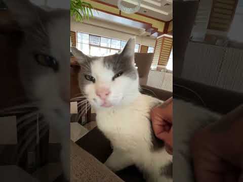 Кондитерская в отеле CRYSTAL DELUXE! 🇹🇷 Лобби, бар| Кемер | Впечатления #Турция #Кемер #путешествия