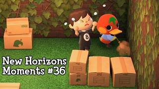 New Horizons Moments #36 (Animal Crossing)
