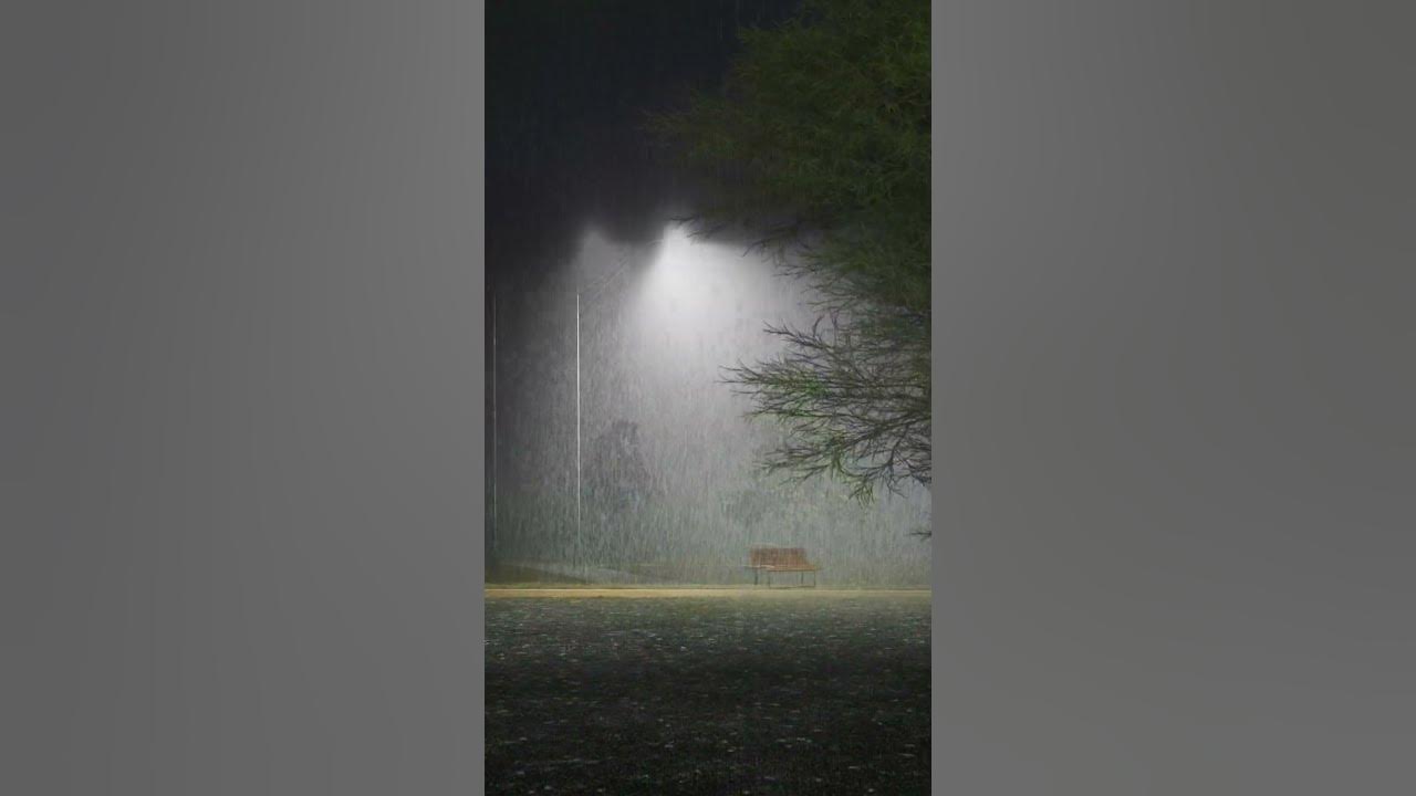 listen to the rain on the forest path relax reduce anxiety and sleep deeply #rain #soothe #relax