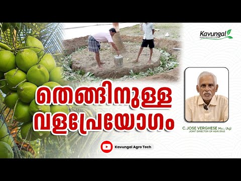 Fertilizer for coconut trees - video from Kavungal