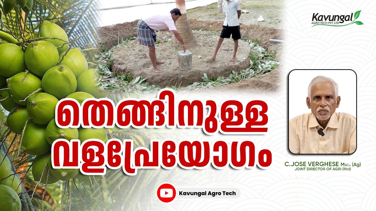 തെങ്ങിനുള്ള വളപ്രയോഗം