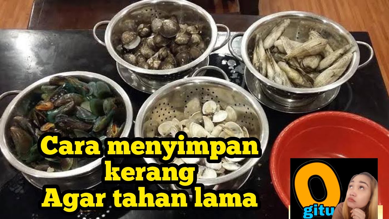 Cara menyimpan kerang tahan lama dan fresh sampai bertahun tahun