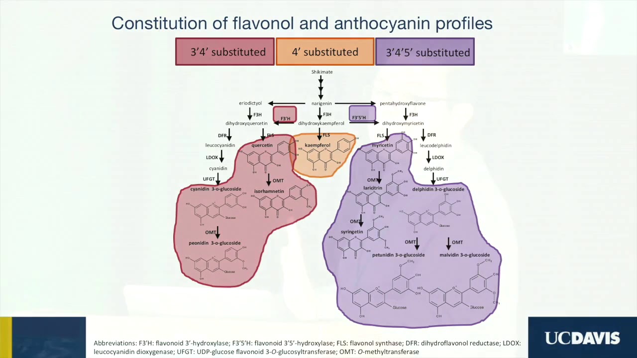 2016 Napa Vintage Report -  Kaan Kurtural