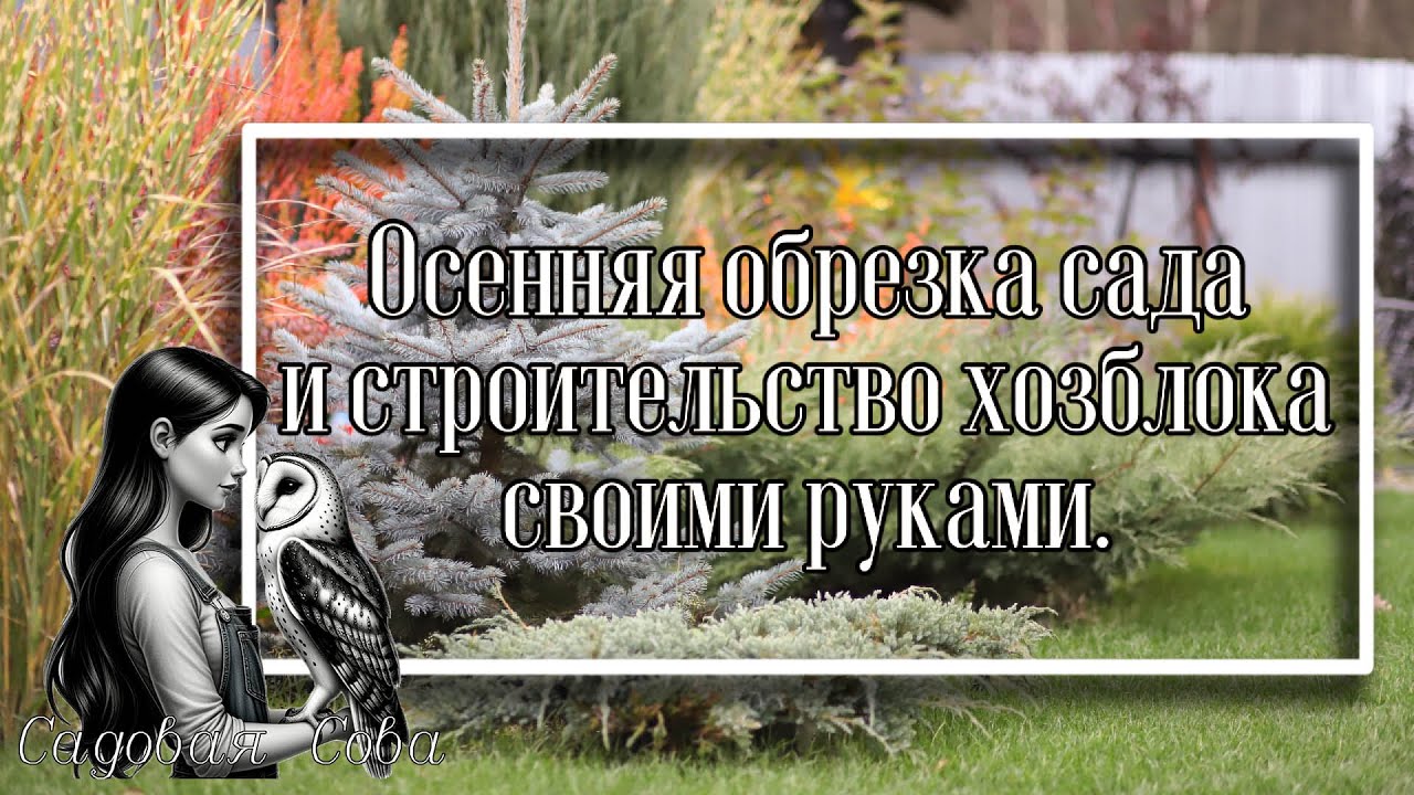 ОБРЕЗАЛА ГОРТЕНЗИИ ll У МАЛИНЫ ГРИБОК II СТРОИМ ХОЗБЛОК