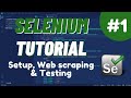 Python Selenium Tutorial #1  - Setup, Web scraping & Testing