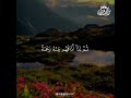 Deep Emotional Quran Recitation: Healing for the Mind and Soul #Quran #SpiritualHealing