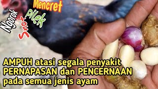 Eczema Survivor.. salep ampuh untuk eksim.. dan cara mengobati eksim kalo lagi kambuh!. 