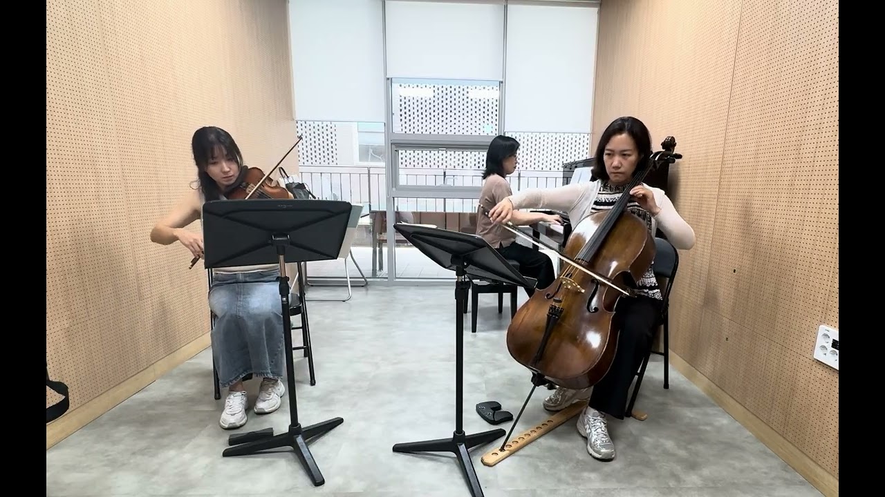 紫陽花／メンシャン×4.メントリ×3 Mendelssohn piano trio Op.49 2악장 - YouTube