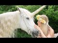 Fairy Sarah and Friends - Fairy Sarah - Luna Rose the magic Unicorn | Learning For Kids