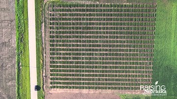 Why do sensors make sense?