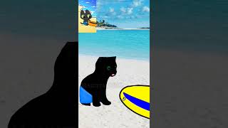 Котики любят лето!🏖️😺 #csal #анимации #симба #мурсдей @simb