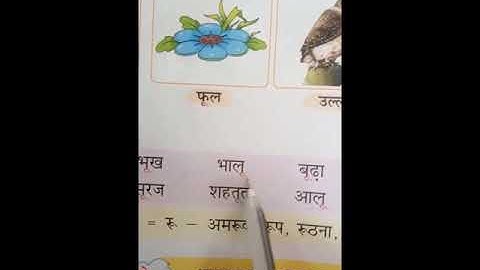 MLZS JHANSI CLASS 1 Hindi Grammar Peekaboo Chapter 7 Lecture 1