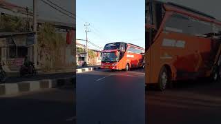 Ketemu Bus Indah Jaya Malika Part 2