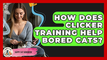 How Does Clicker Training Help Bored Cats? - Happy Cat Handbook