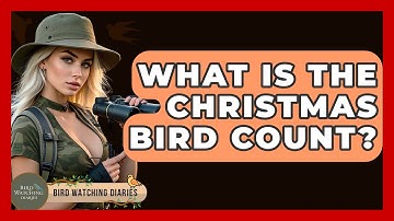 What Is The Christmas Bird Count? - Bird Watching Diaries