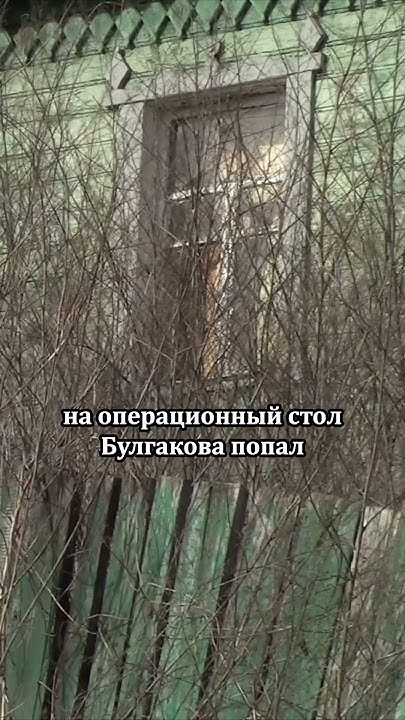 Как Булгаков стал зависимым от морфия? #булгаков #интересныефакты # ...